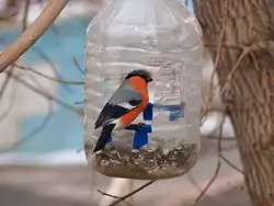 14 Mangiatoia Per Uccelli In Vaso Di Muratore